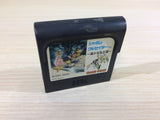 Shadam Crusader Harukanaru Oukoku Sega Game Gear Japan - DK6164