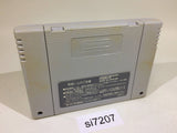 Volleyball Twin SNES Super Famicom Japan - SI7207