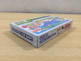 UE5793 Tottoko Hamutaro 4 BOXED GameBoy Advance Japan