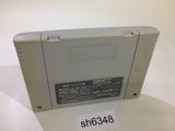 Zen Nippon ProWrestling SNES Super Famicom Japan - SH6348