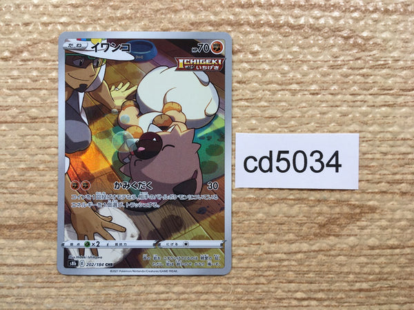 CD5034 Rockruff CHR s8b 202/184 Pokemon Card TCG Japan