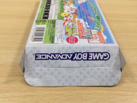 UE5793 Tottoko Hamutaro 4 BOXED GameBoy Advance Japan