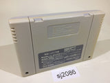 WWF Super WrestleMania Pro Wrestling SNES Super Famicom Japan - SJ2086