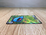 CE7503 Venusaur ex RR SV2a 003/165 Pokemon Card TCG Japan