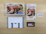 UE5794 Tottoko Hamutaro 4 BOXED GameBoy Advance Japan