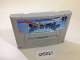 Inazuma Serve da!! Super Beach Volley Ball SNES Super Famicom Japan - SH6027