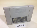 Popoitto Hebereke Hebereke's SNES Super Famicom Japan - SH9802