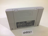 Inazuma Serve da!! Super Beach Volley Ball SNES Super Famicom Japan - SH6027