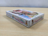 UE5794 Tottoko Hamutaro 4 BOXED GameBoy Advance Japan