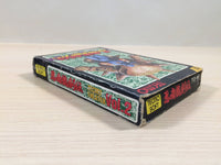 ue4470 Ninja Gaiden Ryukenden BOXED NES Famicom Japan