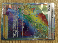 ce2013 Grant HR s10P 084/067 Pokemon Card TCG Japan