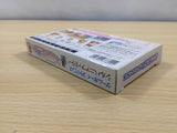 UE5794 Tottoko Hamutaro 4 BOXED GameBoy Advance Japan