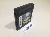 BZ2405 Dungeon Savior GameBoy Game Boy Japan