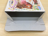 UE5794 Tottoko Hamutaro 4 BOXED GameBoy Advance Japan