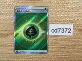 CD7372 Grass Energy SR s12a 251/172 Pokemon Card TCG Japan