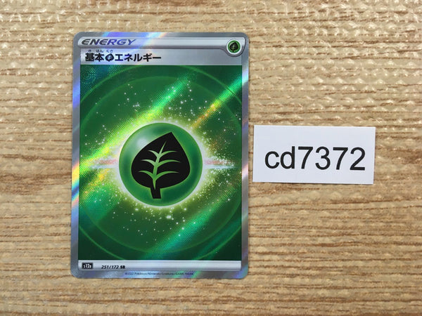 CD7372 Grass Energy SR s12a 251/172 Pokemon Card TCG Japan