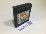 Dungeon Savior GameBoy Game Boy Japan - BZ8513