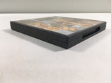 Pac 'n Roll BOXED Nintendo DS Japan - FH4730
