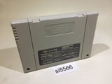 Dun Quest Majin Fuuin no Densetsu SNES Super Famicom Japan - SI5566