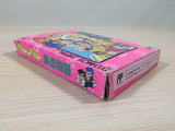 Kunio kun Down Town Nekketsu Monogatari BOXED NES Famicom Japan - UE3033