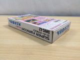 Hammerin' Harry Ganbare! Daiku no Gensan BOXED SNES Super Famicom Japan - UE6264