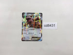 CD8431 Kangaskhan EX RR XY2 064/080 Pokemon Card TCG Japan