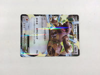 CD8431 Kangaskhan EX RR XY2 064/080 Pokemon Card TCG Japan