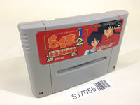 SJ7055 Ranma 1/2 Akanekodan Teki Hihou SNES Super Famicom Japan