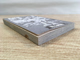 AAA1300 Case Closed Vol.11 Japanese Manga