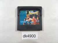 dk4900 Bare Knuckle Ikari no Tekken Sega Game Gear Japan