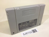 Super Wagyan Land 2 SNES Super Famicom Japan - SJ6733