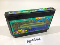 AG4344 Tag Team Pro Wrestling NES Famicom Japan