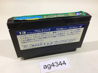 AG4344 Tag Team Pro Wrestling NES Famicom Japan
