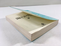 AAA1446 Triton of the Sea Vol.1 Japanese Manga