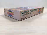 Haou Taikei Ryuu Knight Lord of Paladin BOXED SNES Super Famicom Japan - UE3428