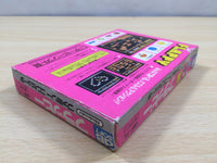 UE5669 Flappy BOXED NES Famicom Japan