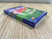 FH6380 Swingerz Golf Ace Golf Wai Wai Golf BOXED GameCube Japan