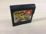 Honoo no Toukyuuji Dodge Danpei Sega Game Gear Japan - DK6177