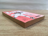 AAA1302 Captain Tsubasa Vol.17 Japanese Manga