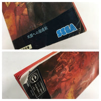 DK7241 Bare Knuckle II Shitou e no Requiem BOXED Mega Drive Genesis Japan