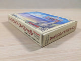 Hydlide Special BOXED NES Famicom Japan - UE4584