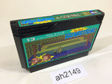 Tag Team Pro Wrestling NES Famicom Japan - AH2149