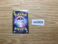 CE2909 Colress - PPD 014/017 Pokemon Card TCG Japan