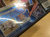 Phantasy Star 0 BOXED Nintendo DS Japan - UE7470