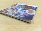 Phantasy Star 0 BOXED Nintendo DS Japan - UE7470