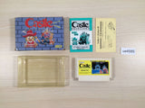 The Castle Excellent BOXED NES Famicom Japan - UE4585