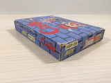 The Castle Excellent BOXED NES Famicom Japan - UE4585