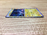 CE2910 Zekrom PROMO PROMO 052/BW-P Pokemon Card TCG Japan