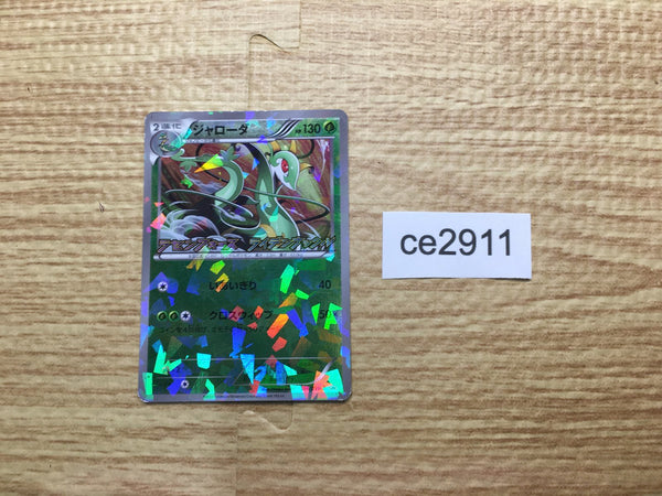 CE2911 Serperior PROMO PROMO 198/BW-P Pokemon Card TCG Japan