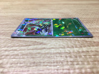CE2911 Serperior PROMO PROMO 198/BW-P Pokemon Card TCG Japan